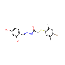 Cc1cc(SCC(=O)N/N=C/c2ccc(O)cc2O)c(C)cc1Br ZINC000003232472