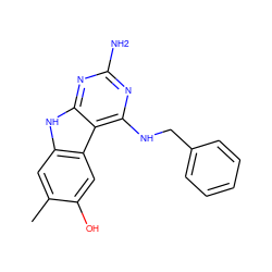 Cc1cc2[nH]c3nc(N)nc(NCc4ccccc4)c3c2cc1O ZINC001772612298