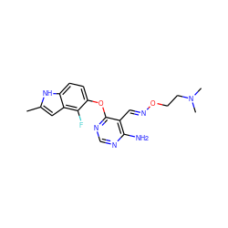 Cc1cc2c(F)c(Oc3ncnc(N)c3/C=N/OCCN(C)C)ccc2[nH]1 ZINC000014949814