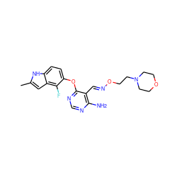 Cc1cc2c(F)c(Oc3ncnc(N)c3/C=N/OCCN3CCOCC3)ccc2[nH]1 ZINC000014949819