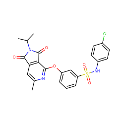 Cc1cc2c(c(Oc3cccc(S(=O)(=O)Nc4ccc(Cl)cc4)c3)n1)C(=O)N(C(C)C)C2=O ZINC000103236919