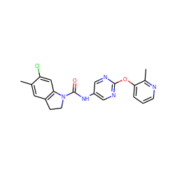 Cc1cc2c(cc1Cl)N(C(=O)Nc1cnc(Oc3cccnc3C)nc1)CC2 ZINC000029489315