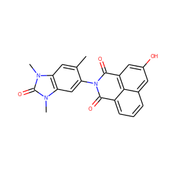 Cc1cc2c(cc1N1C(=O)c3cccc4cc(O)cc(c34)C1=O)n(C)c(=O)n2C ZINC001772638400