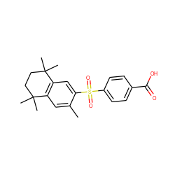 Cc1cc2c(cc1S(=O)(=O)c1ccc(C(=O)O)cc1)C(C)(C)CCC2(C)C ZINC000013758062