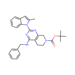 Cc1cc2ccccc2n1-c1nc2c(c(NCc3ccccc3)n1)CCN(C(=O)OC(C)(C)C)C2 ZINC000208086040