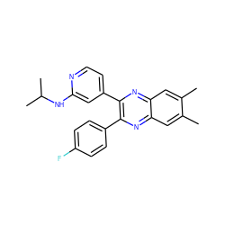 Cc1cc2nc(-c3ccc(F)cc3)c(-c3ccnc(NC(C)C)c3)nc2cc1C ZINC000045316198