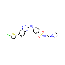 Cc1cc2nc(Nc3ccc(S(=O)(=O)NCCN4CCCC4)cc3)nnc2cc1-c1ccc(Cl)s1 ZINC000096167767