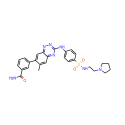 Cc1cc2nc(Nc3ccc(S(=O)(=O)NCCN4CCCC4)cc3)nnc2cc1-c1cccc(C(N)=O)c1 ZINC000096167806