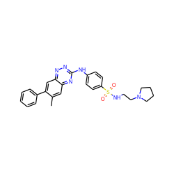 Cc1cc2nc(Nc3ccc(S(=O)(=O)NCCN4CCCC4)cc3)nnc2cc1-c1ccccc1 ZINC000028702817