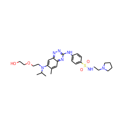 Cc1cc2nc(Nc3ccc(S(=O)(=O)NCCN4CCCC4)cc3)nnc2cc1N(CCOCCO)C(C)C ZINC000096167792