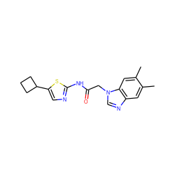 Cc1cc2ncn(CC(=O)Nc3ncc(C4CCC4)s3)c2cc1C ZINC000028393669