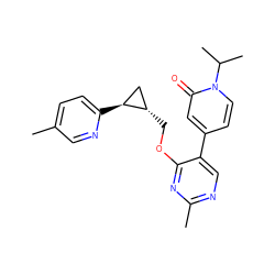 Cc1ccc([C@H]2C[C@@H]2COc2nc(C)ncc2-c2ccn(C(C)C)c(=O)c2)nc1 ZINC000209437401