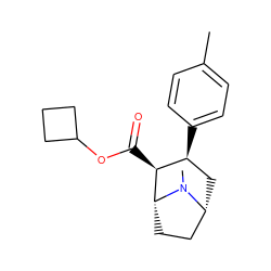 Cc1ccc([C@H]2C[C@@H]3CC[C@H]([C@H]2C(=O)OC2CCC2)N3C)cc1 ZINC000013740253