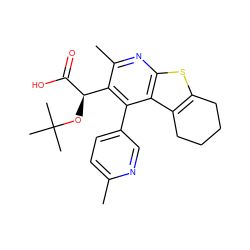 Cc1ccc(-c2c([C@@H](OC(C)(C)C)C(=O)O)c(C)nc3sc4c(c23)CCCC4)cn1 ZINC000113125550