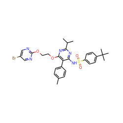 Cc1ccc(-c2c(NS(=O)(=O)c3ccc(C(C)(C)C)cc3)nc(C(C)C)nc2OCCOc2ncc(Br)cn2)cc1 ZINC000027899073