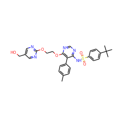 Cc1ccc(-c2c(NS(=O)(=O)c3ccc(C(C)(C)C)cc3)ncnc2OCCOc2ncc(CO)cn2)cc1 ZINC000027073244