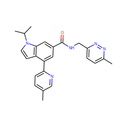 Cc1ccc(-c2cc(C(=O)NCc3ccc(C)nn3)cc3c2ccn3C(C)C)nc1 ZINC000142540842