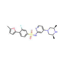 Cc1ccc(-c2ccc(S(=O)(=O)Nc3cc(N4C[C@H](C)N[C@H](C)C4)ccn3)cc2F)o1 ZINC000095598513