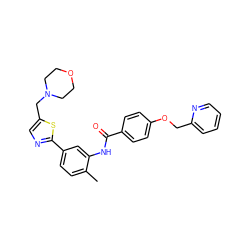 Cc1ccc(-c2ncc(CN3CCOCC3)s2)cc1NC(=O)c1ccc(OCc2ccccn2)cc1 ZINC000084708677