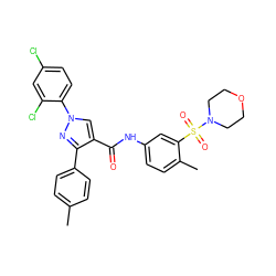 Cc1ccc(-c2nn(-c3ccc(Cl)cc3Cl)cc2C(=O)Nc2ccc(C)c(S(=O)(=O)N3CCOCC3)c2)cc1 ZINC000169340197