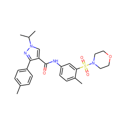 Cc1ccc(-c2nn(C(C)C)cc2C(=O)Nc2ccc(C)c(S(=O)(=O)N3CCOCC3)c2)cc1 ZINC000169340202