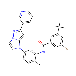 Cc1ccc(-n2ccn3nc(-c4cccnc4)cc23)cc1NC(=O)c1cc(Br)cc(C(C)(C)C)c1 ZINC000224764575