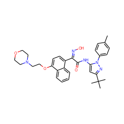 Cc1ccc(-n2nc(C(C)(C)C)cc2NC(=O)/C(=N\O)c2ccc(OCCN3CCOCC3)c3ccccc23)cc1 ZINC000029126180