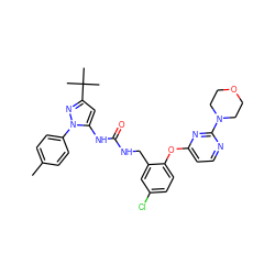 Cc1ccc(-n2nc(C(C)(C)C)cc2NC(=O)NCc2cc(Cl)ccc2Oc2ccnc(N3CCOCC3)n2)cc1 ZINC000084671697