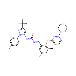 Cc1ccc(-n2nc(C(C)(C)C)cc2NC(=O)NCc2cc(F)cc(C)c2Oc2ccnc(N3CCOCC3)n2)cc1 ZINC000084687396