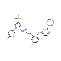 Cc1ccc(-n2nc(C(C)(C)C)cc2NC(=O)NCc2cc(F)cc(Cl)c2Oc2ccnc(N3CCOCC3)n2)cc1 ZINC000084687395