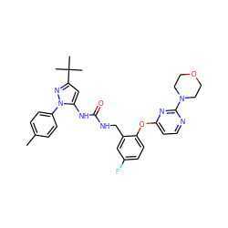 Cc1ccc(-n2nc(C(C)(C)C)cc2NC(=O)NCc2cc(F)ccc2Oc2ccnc(N3CCOCC3)n2)cc1 ZINC000043169740