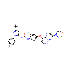 Cc1ccc(-n2nc(C(C)(C)C)cc2NC(=O)Nc2ccc(Oc3ccnc4nc(N5CCOCC5)cnc34)cc2F)cc1 ZINC000058590635
