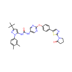 Cc1ccc(-n2nc(C(C)(C)C)cc2NC(=O)Nc2cnc(Oc3ccc(-c4cnc(N5CCCC5=O)s4)cc3)nc2)cc1C ZINC000143885738