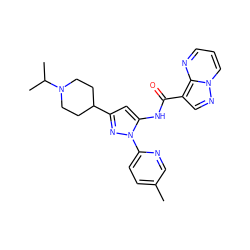 Cc1ccc(-n2nc(C3CCN(C(C)C)CC3)cc2NC(=O)c2cnn3cccnc23)nc1 ZINC000204748823