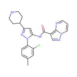 Cc1ccc(-n2nc(C3CCNCC3)cc2NC(=O)c2cnn3cccnc23)c(Cl)c1 ZINC000204754944