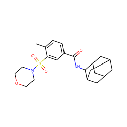 Cc1ccc(C(=O)NC2C3CC4CC(C3)CC2C4)cc1S(=O)(=O)N1CCOCC1 ZINC000007037156