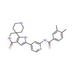 Cc1ccc(C(=O)Nc2cc(-c3cc4c([nH]3)C3(CCNCC3)CNC4=O)ccn2)cc1C ZINC000073223475