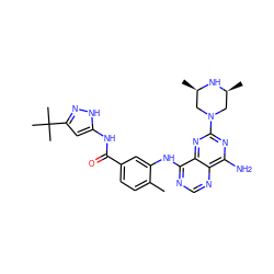 Cc1ccc(C(=O)Nc2cc(C(C)(C)C)n[nH]2)cc1Nc1ncnc2c(N)nc(N3C[C@H](C)N[C@H](C)C3)nc12 ZINC000148038337