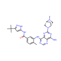 Cc1ccc(C(=O)Nc2cc(C(C)(C)C)n[nH]2)cc1Nc1ncnc2c(N)nc(N3C[C@H]4C[C@@H]3CN4C)nc12 ZINC000148038782