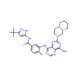 Cc1ccc(C(=O)Nc2cc(C(C)(C)C)n[nH]2)cc1Nc1ncnc2c(N)nc(N3CCN4CCCC[C@@H]4C3)nc12 ZINC000148041206