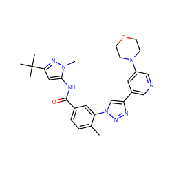 Cc1ccc(C(=O)Nc2cc(C(C)(C)C)nn2C)cc1-n1cc(-c2cncc(N3CCOCC3)c2)nn1 ZINC000199369949