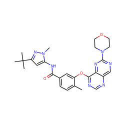 Cc1ccc(C(=O)Nc2cc(C(C)(C)C)nn2C)cc1Oc1ncnc2cnc(N3CCOCC3)nc12 ZINC000148372302