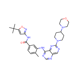 Cc1ccc(C(=O)Nc2cc(C(C)(C)C)on2)cc1Nc1ncnc2cnc(N3CCC(N4CCOCC4)CC3)nc12 ZINC000148318202