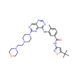 Cc1ccc(C(=O)Nc2cc(C(C)(C)C)on2)cc1Nc1ncnc2cnc(N3CCN(CCN4CCOCC4)CC3)nc12 ZINC000148266226