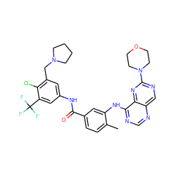 Cc1ccc(C(=O)Nc2cc(CN3CCCC3)c(Cl)c(C(F)(F)F)c2)cc1Nc1ncnc2cnc(N3CCOCC3)nc12 ZINC000148343181