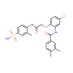 Cc1ccc(C(=O)Nc2cc(Cl)ccc2OCC(=O)Nc2ccc(S(N)(=O)=O)cc2C)cc1C ZINC000095572958