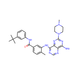 Cc1ccc(C(=O)Nc2cccc(C(C)(C)C)c2)cc1Nc1ncnc2c(N)nc(N3CCN(C)CC3)nc12 ZINC000148053087
