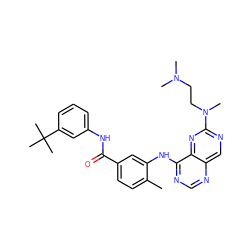 Cc1ccc(C(=O)Nc2cccc(C(C)(C)C)c2)cc1Nc1ncnc2cnc(N(C)CCN(C)C)nc12 ZINC000148211743