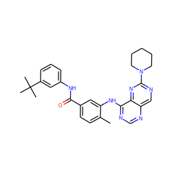 Cc1ccc(C(=O)Nc2cccc(C(C)(C)C)c2)cc1Nc1ncnc2cnc(N3CCCCC3)nc12 ZINC000148216701