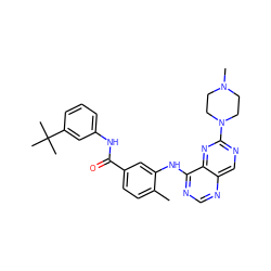 Cc1ccc(C(=O)Nc2cccc(C(C)(C)C)c2)cc1Nc1ncnc2cnc(N3CCN(C)CC3)nc12 ZINC000148202421